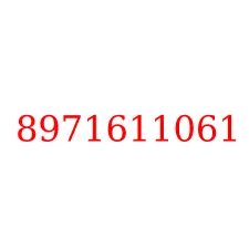 8971611061