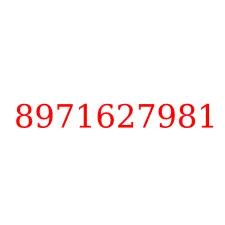 8971627981