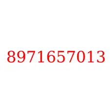 8971657013