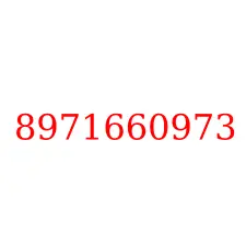 8971660973