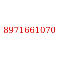 8971661070