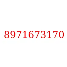 8971673170