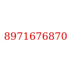 8971676870