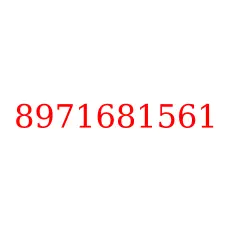 8971681561