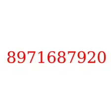 8971687920
