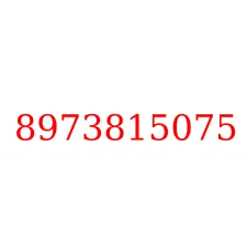 8973815075