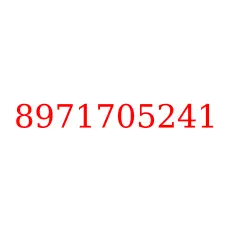 8971705241