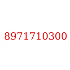 8971710300