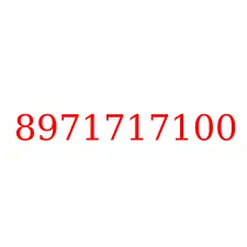 8971717100