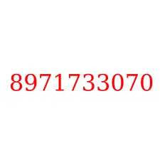 8971733070