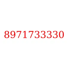 8971733330