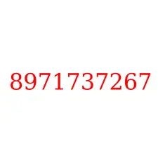 8971737267