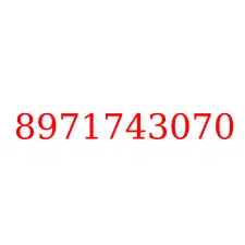 8971743070
