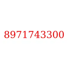 8971743300