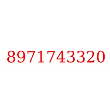 8971743320