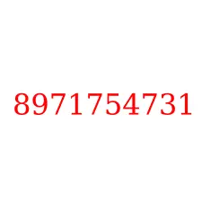 8971754731