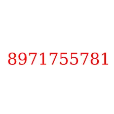 8971755781