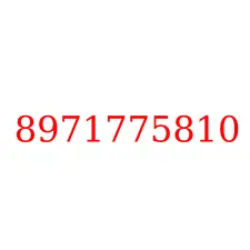 8971775810