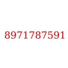 8971787591