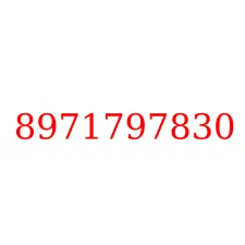 8971797830