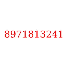 8971813241