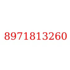 8971813260