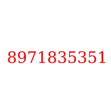 8971835351