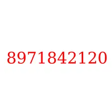 8971842120