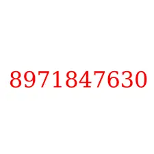 8971847630