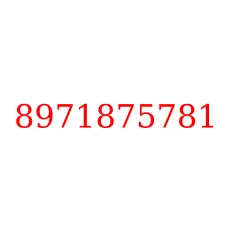 8971875781