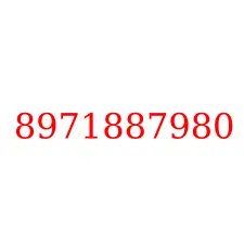 8971887980