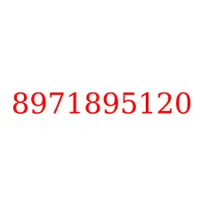 8971895120