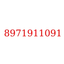 8971911091