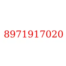 8971917020