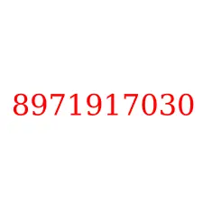 8971917030