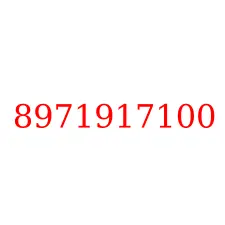8971917100