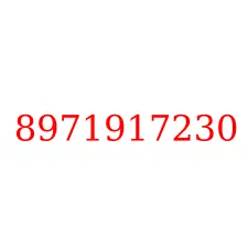 8971917230