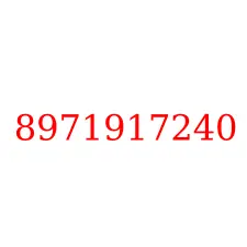 8971917240