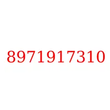 8971917310