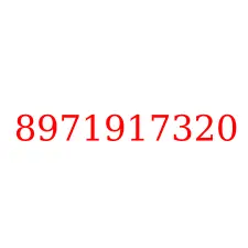 8971917320