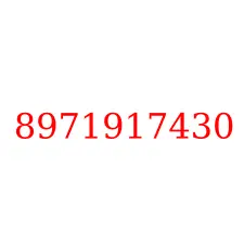 8971917430
