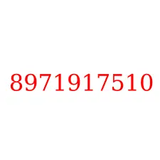 8971917510