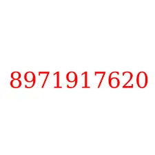 8971917620