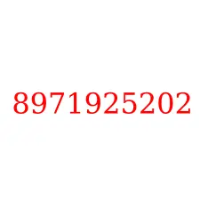 8971925202