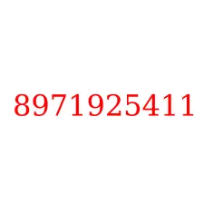 8971925411