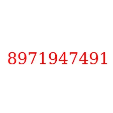 8971947491