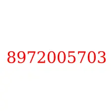 8972005703