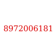 8972006181