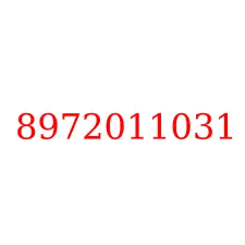 8972011031