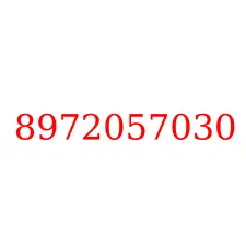 8972057030